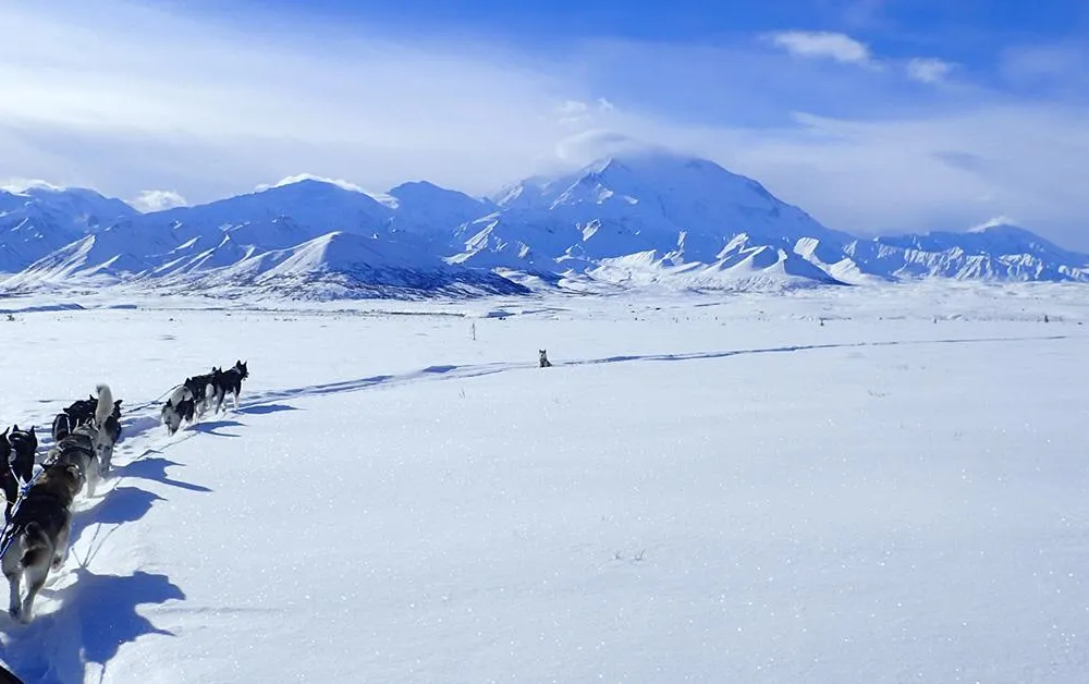 Mushing 2 social.jpg