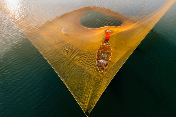 Yellow Net 4 thumbnail