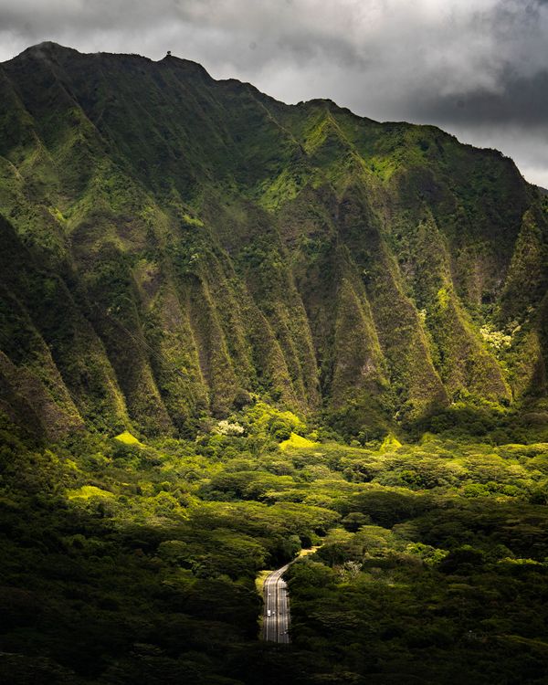 Tropical roads thumbnail