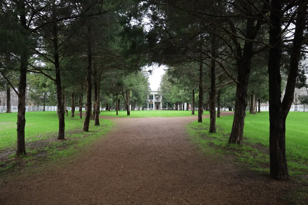 The Hermitage mansion seen at the end of a path through trees