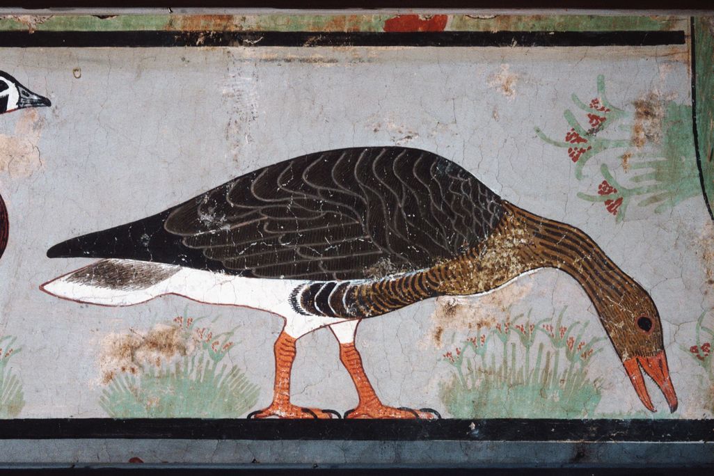 Meidum Geese