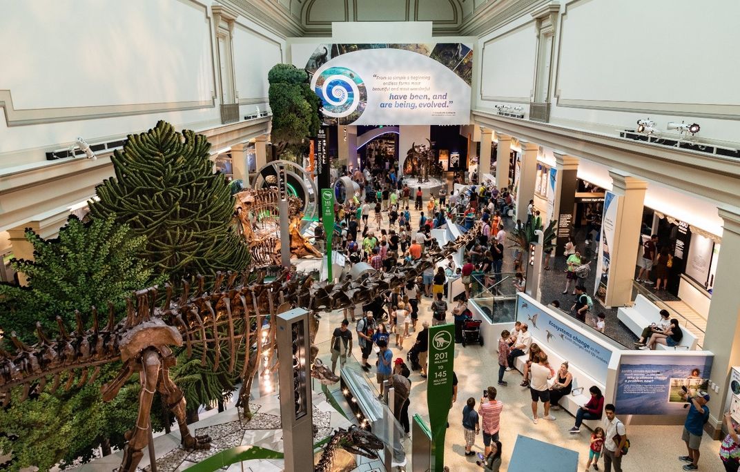 A view from above of the Smithsonian's new fossil hall filled with people.