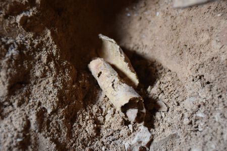 Archeologists found this piece of parchment rolled up in a jug in a cave on the cliffs west of Qumran.