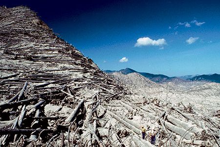 Heavily forested slopes near Spirit Lake were devastated by the eruption as shown in this photo in 1982.