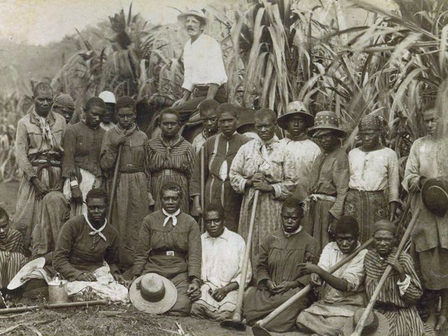 Estimates&nbsp;of the number of Pacific Islanders captured by blackbirders and forced to work on cotton and sugar plantations in Fiji and Australia&nbsp;range&nbsp;from 61,610 to more than 100,000.
