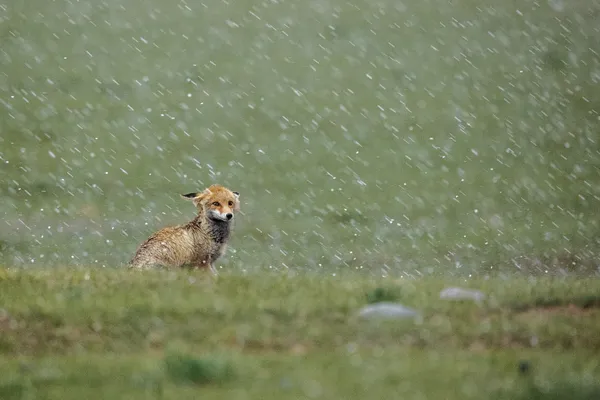 A heavy rainstorm is approaching thumbnail