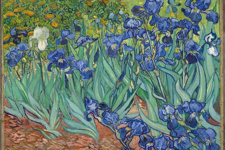 Irises, Vincent van Gogh