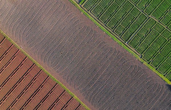 Patterns of the Earth thumbnail