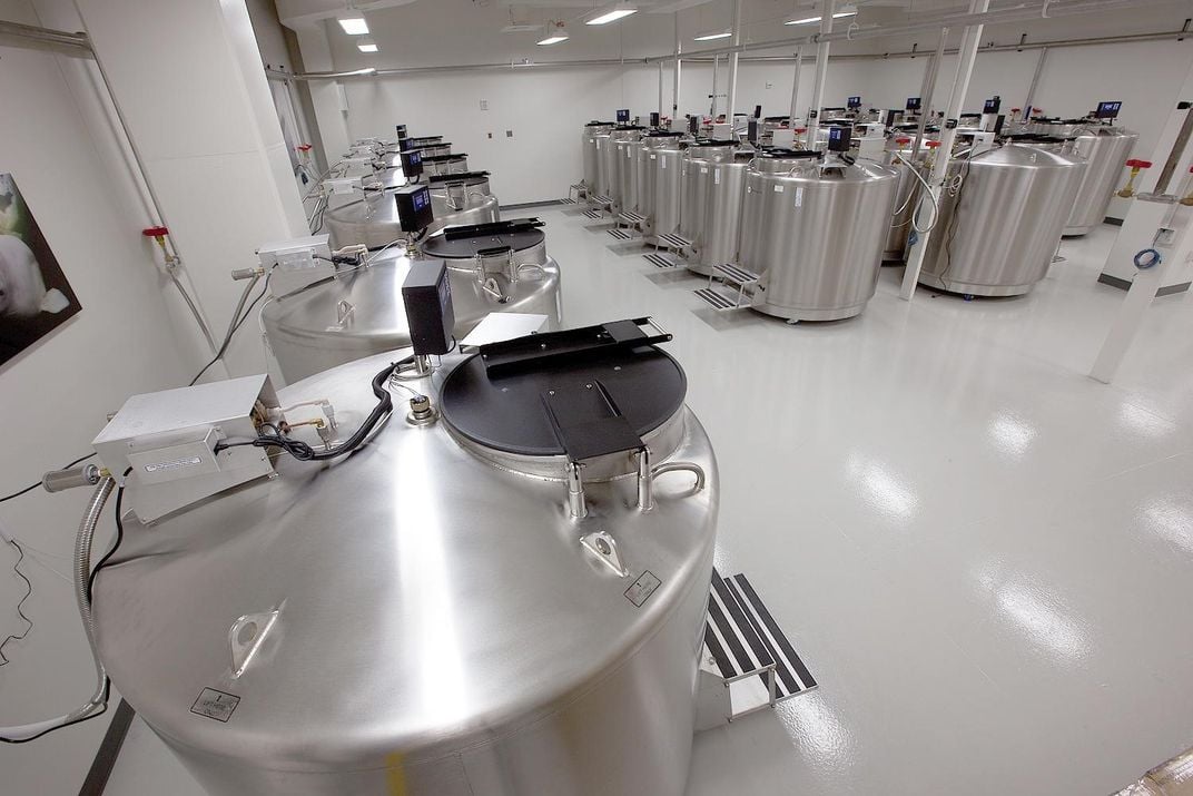 Stainless steel tanks in a laboratory.