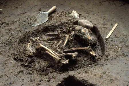 A dog buried in Western Illinois 10,000 years ago is one of the oldest dogs known in the Americas, and the oldest dog burial in the world. These native American dogs were almost entirely wiped out when European colonists arrived.