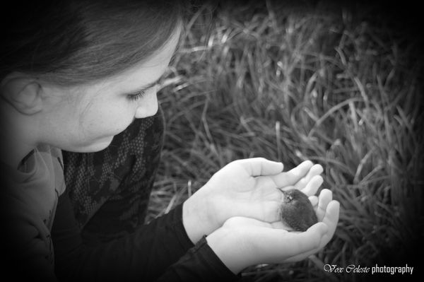 In safe hands - young bird rescue thumbnail