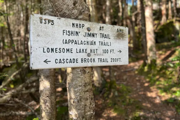 On the Appalachian Trail thumbnail