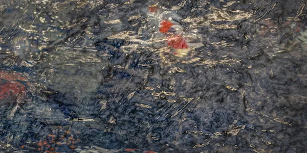 Serendipity 26 thumbnail