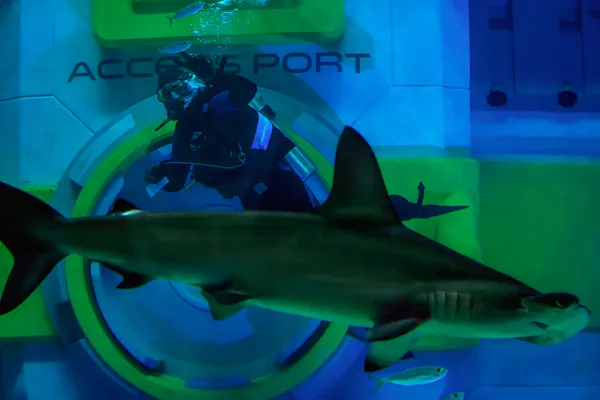 Into the Blue thumbnail