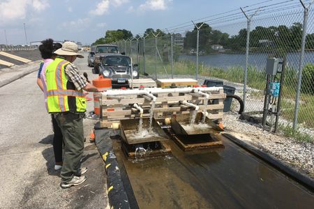 The algal scrubber in action.