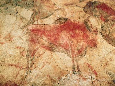 Prehistoric cave painting of a steppe bison from Altamira, Spain