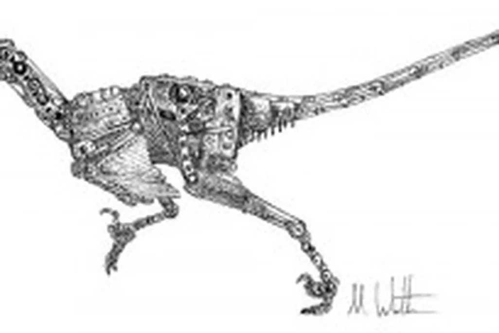 201105200831142892731805_f076bbfefc-300x136.jpg