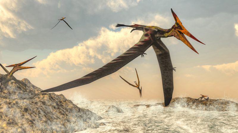 pictures of pterodactyls flying