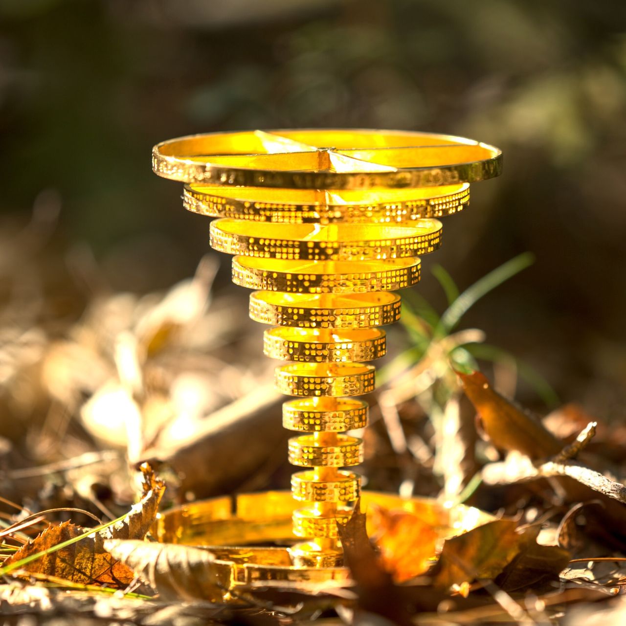 A Treasure Hunter Just Uncovered the $100,000 Prize Hidden in the  Massachusetts Woods