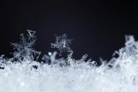 Behold, the unsung hero of the Winter Olympic Games: ice.