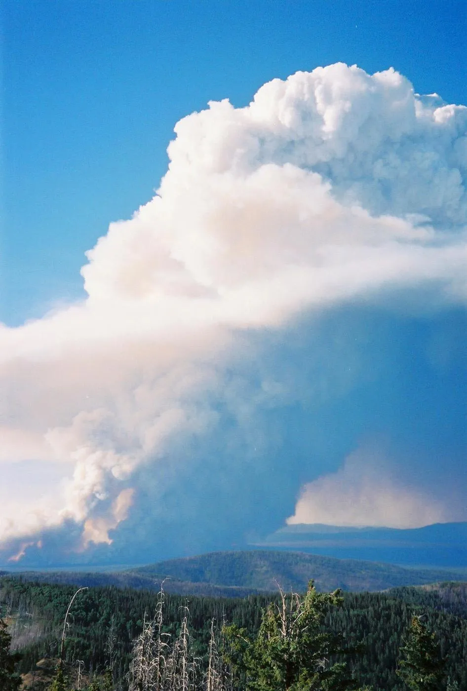 Female Fire Lookouts Have Been Saving the Wilderness for Over a Century