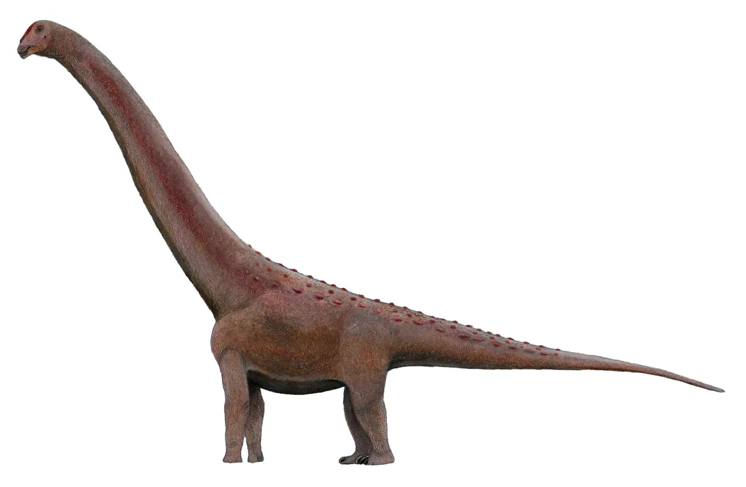 an illustration of a long-necked and long-tailed dinosaur colored red