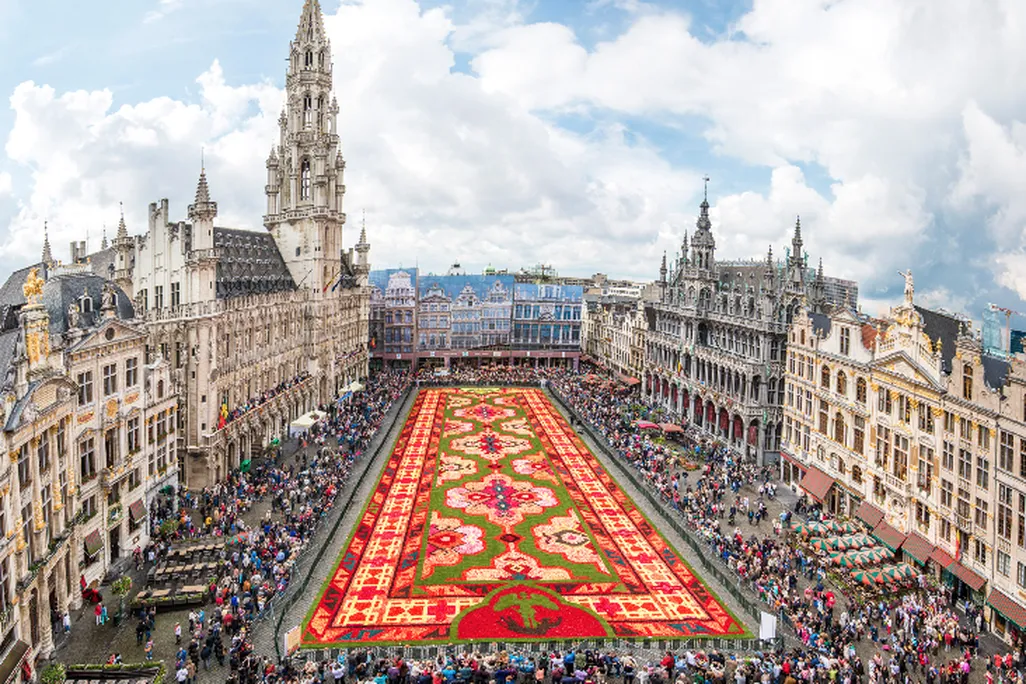 Flower Carpet