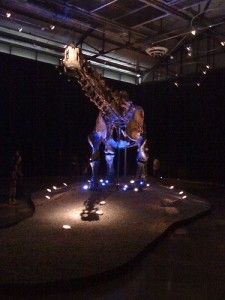 20110520083155einstein-apatosaurus-225x300.jpg