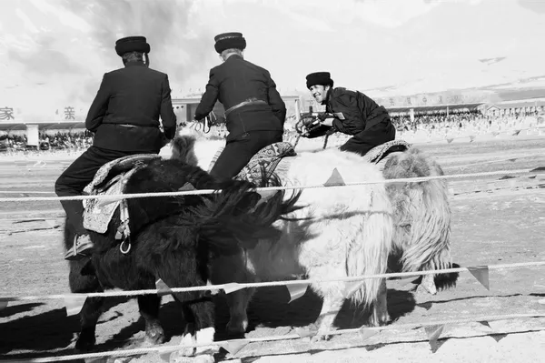 Boundary Markers and Playmates thumbnail