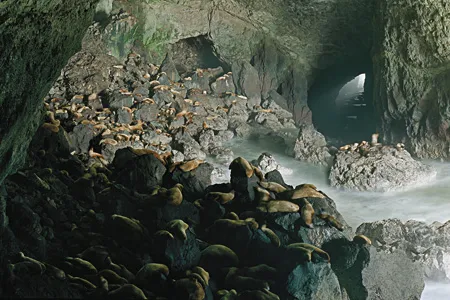 Sea lion caves in Florence, Oregon, by Jonathan Smith, 2011.
