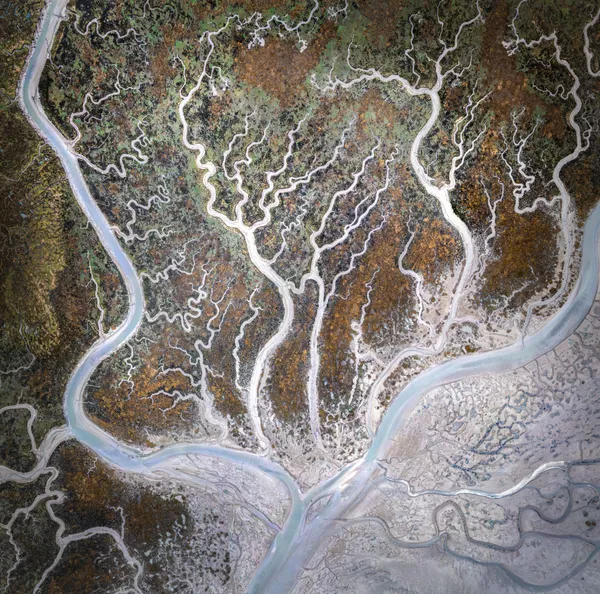 Oceans Garden thumbnail