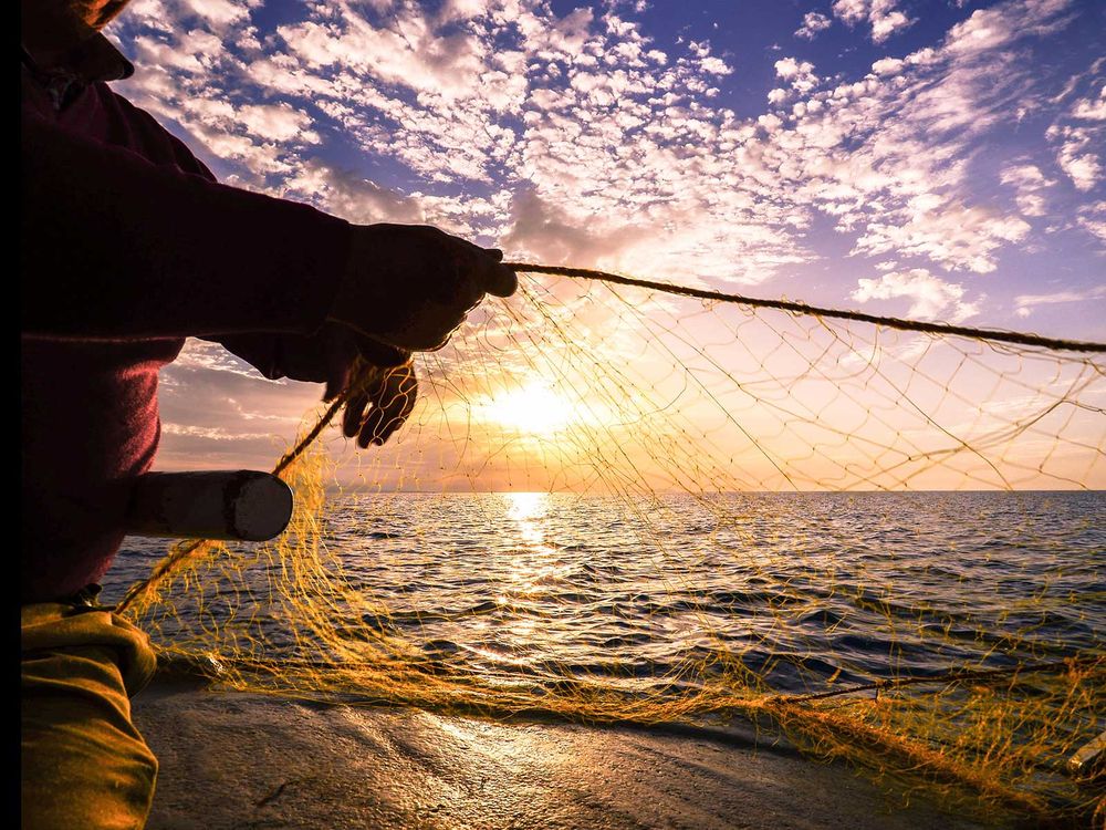 Fisherman Pulling In Net
