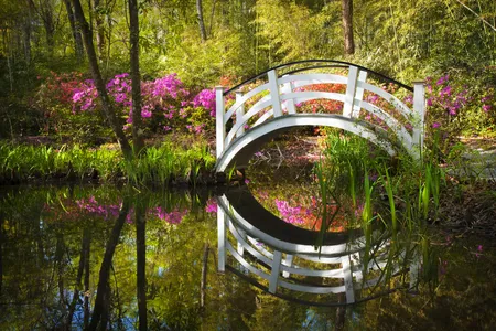 Spring in the gardens. 