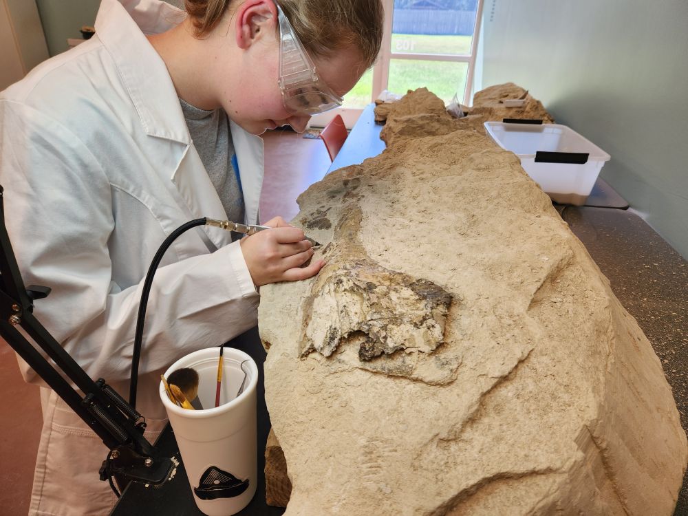 a student in a white lab coat and safety goggles holds a pen-like instrument to a fossil protruding from rock