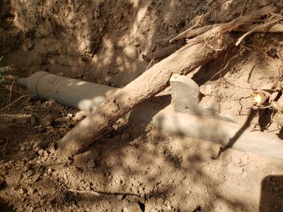During a&nbsp;systematic metal detector survey in southern Arizona, Deni Seymour unearthed a 16th-century cannon likely left behind by Spanish conquistadors.