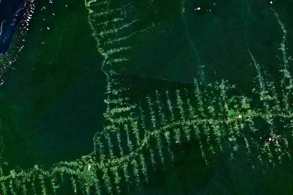 amazonie_deforestation.jpg