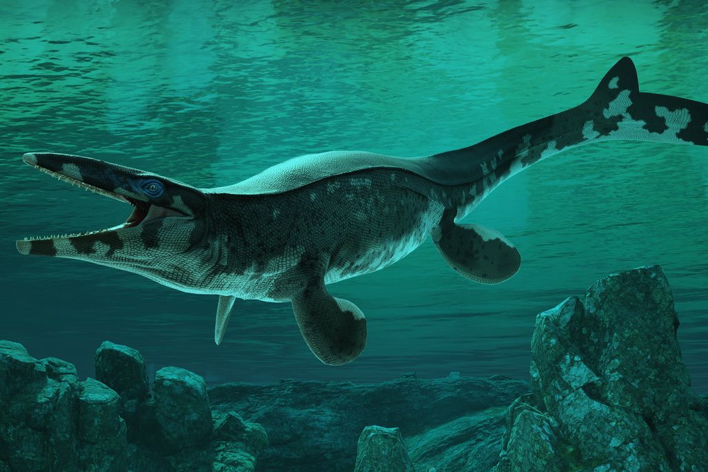 scary-looking marine reptile