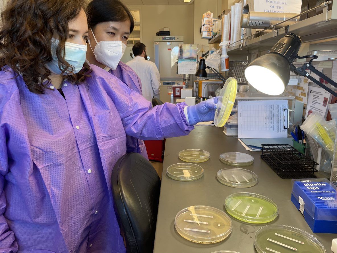 Drug-Resistant Germs Now Kill More Than 50,000 Americans Each Year ...