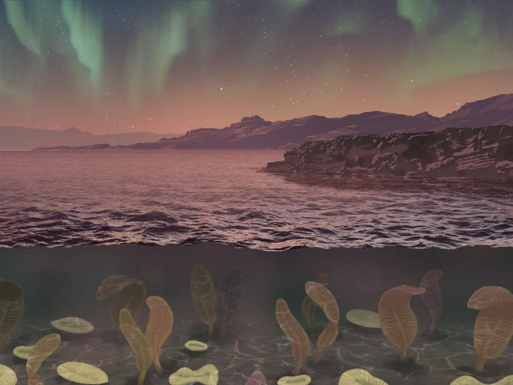 an illustration of fan-like organisms under the water beneath aurora-like green streaks in the sky
