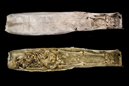 This is the inner lead casket of the Greyfriars medieval stone coffin.