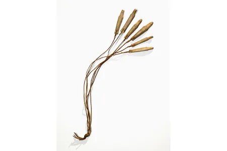 The bola, or tiŋmiagniasutit, from the collections of the National Museum of the American Indian, is featured in the video game, "Never Alone."