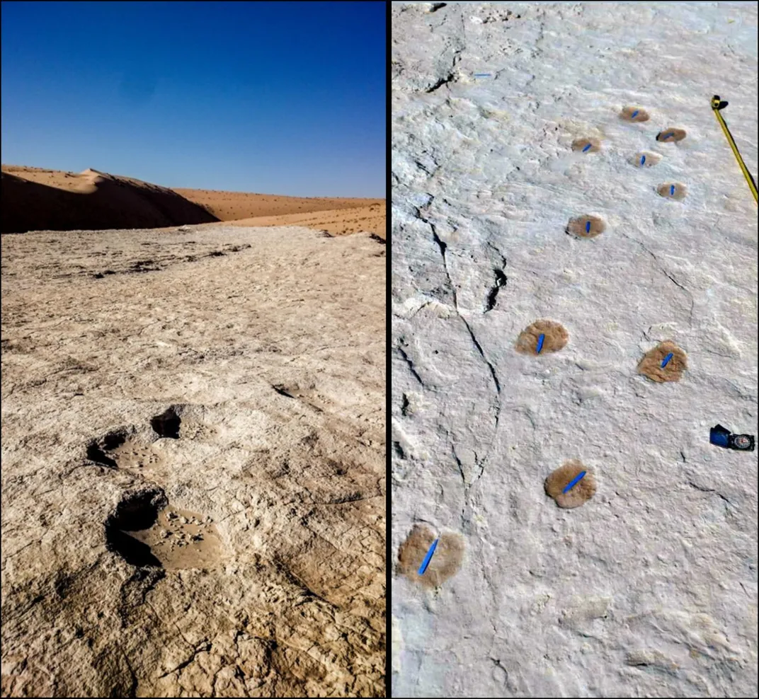 ancient animal tracks