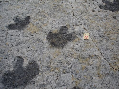 20110520083255dinosaur-ridge-track.jpg