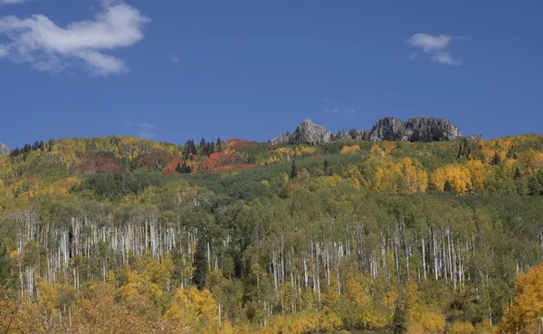 Autumn in the Rockies thumbnail