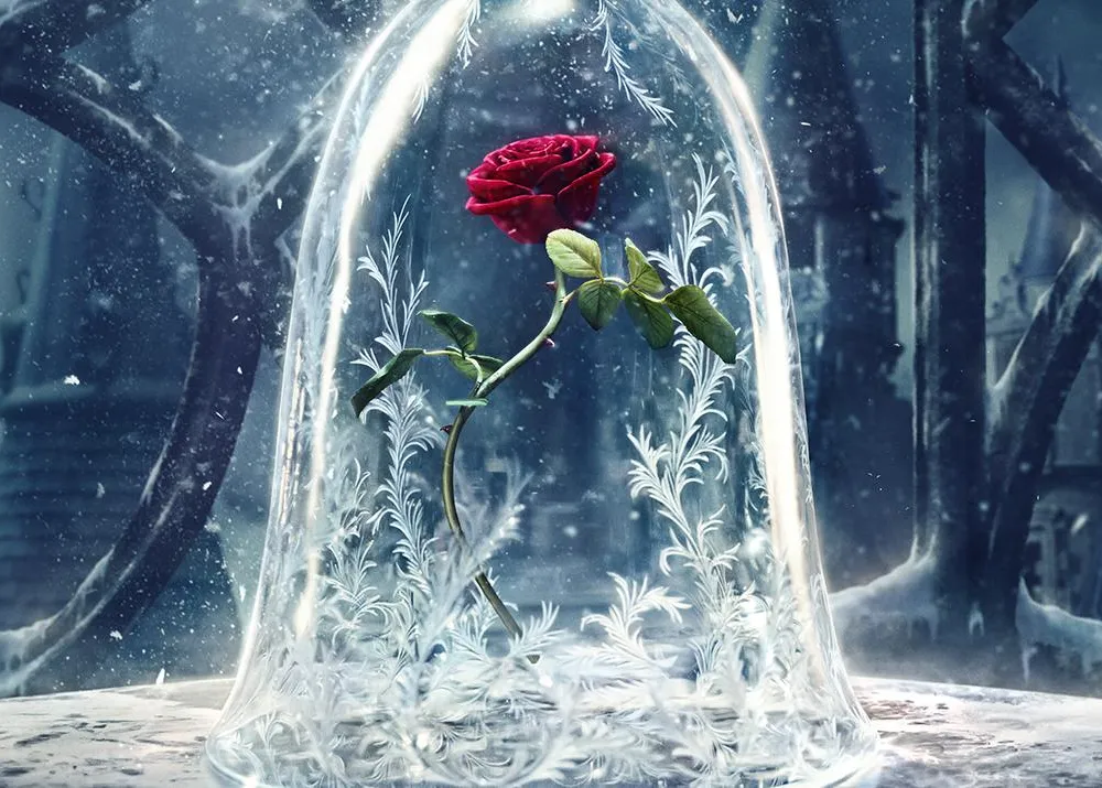 Enchanted Rose