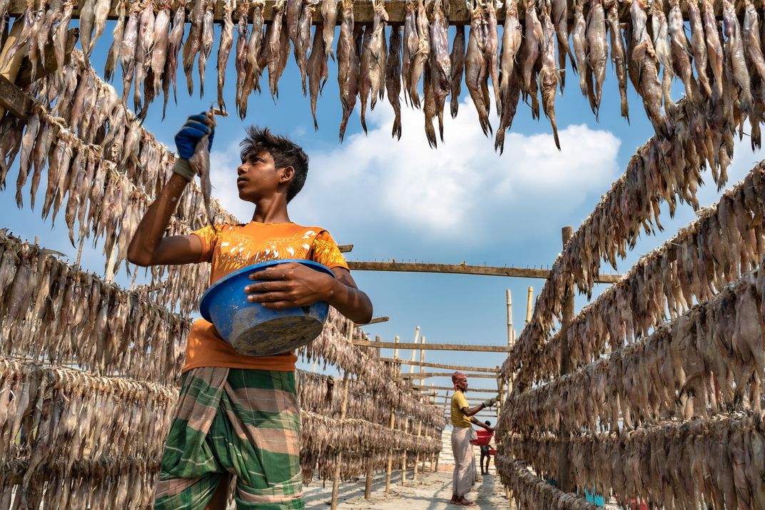Fish Drying | Smithsonian Photo Contest | Smithsonian Magazine