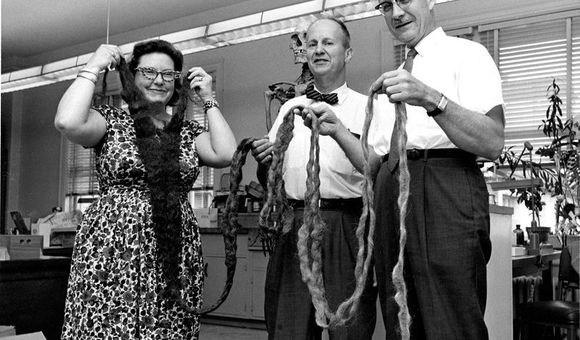 Smithsonian anthropologists hold up the world’s longest beard after it was donated to the National Museum of Natural History in 1967. (Smithsonian)