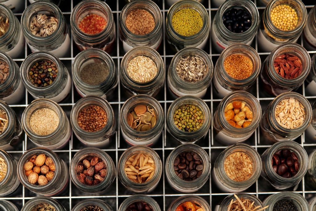 Seed Bank