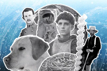 Presenting Smithsonian magazine's top ten stories of 2019