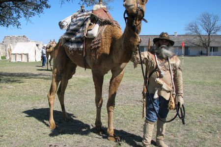 A member of the Texas Camel Corps.